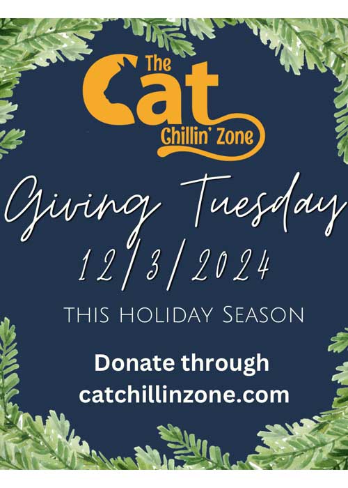 Giving Tuesday - This holiday